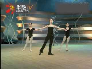 揭秘芭蕾舞:独特魅力与价值解析(图1)
